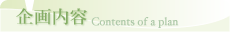 �����e Contents of a plan