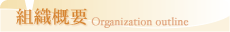 �g�D�T�v Organization outline